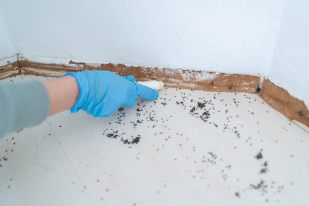 Best Pest Removal Services  in , MS