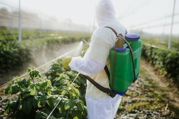 Best Wildlife Control Services  in , MS